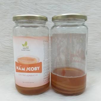 Nấm Scoby làm trà Kombucha Viethealthy