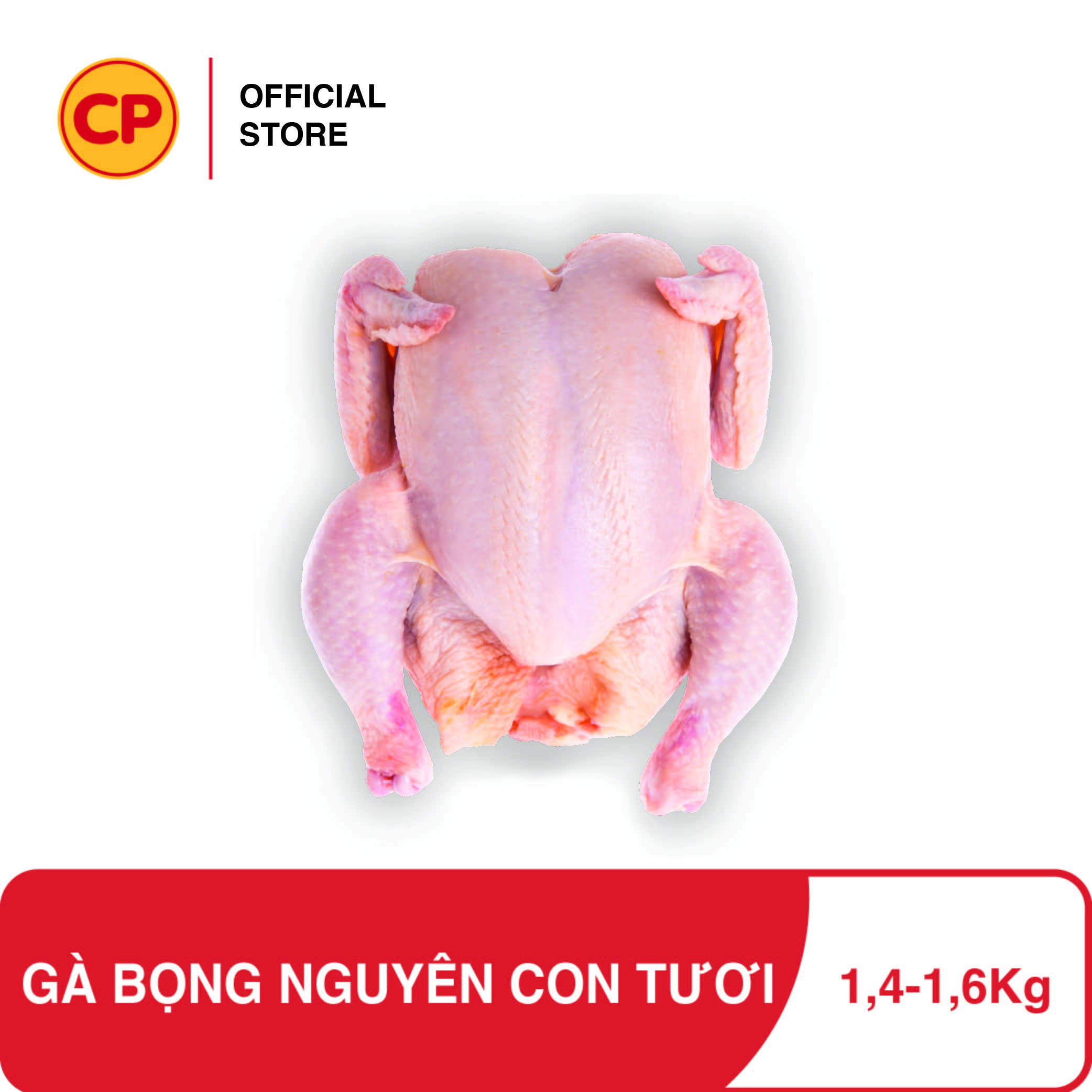 CP Gà bọng nguyên con tươi mới mỗi ngày - 1.4-1.6Kg - Được sản xuất theo tiêu chuẩn 3F. Đảm bảo truy xuất nguồn gốc rõ ràng