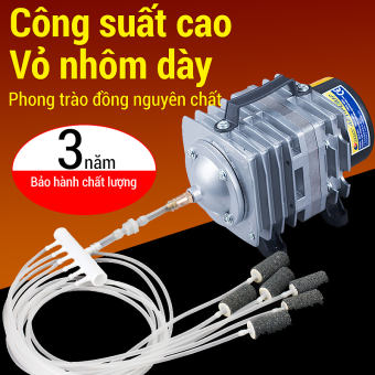 Máy Bơm Oxy Nhỏ Bán Máy Oxy Cho Cá Máy Bơm Oxy Ô Xi Cho Bể Cá Cho Hải Sản Máy Oxy Công Suất Cao Máy Nuôi Cá Bơm Oxy Bể Cá