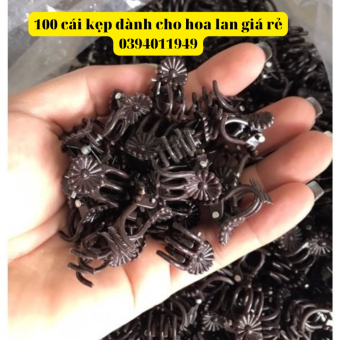 100 kẹp bướm cố định hoa lan giúp cây khỏi gãy