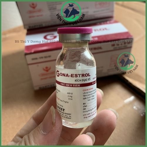 Thuốc Thú Y Gona Estrol oj 8ml Giúp Tăng Th.ụ T.h.ai Cho Ch.ó, Lợn, Trâu, Bò, Dê, Nghé, Cừu Công Ty HANVET