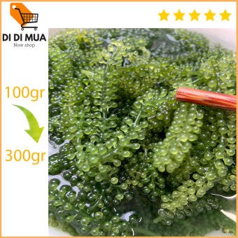 Rong nho tách nước (rong nho biển) từ Nha Trang Khánh Hòa túi 100gr nguyên chất