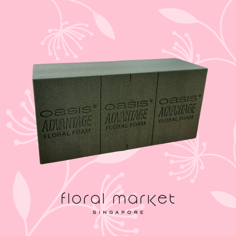 Floral Foam Sponge - Best Price in Singapore - Jan 2024