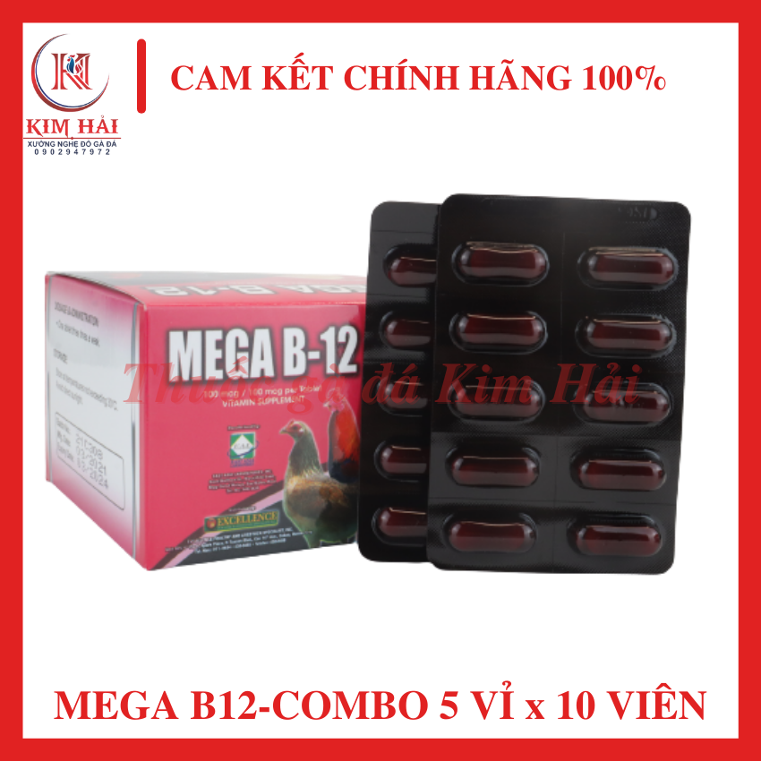 MEGA B12- Philippines[combo 5 vỉ x 10 viên ]-[uống nuôi hằng ngày]-Tăng số lượng hồng cầu, ngăn ngừa bệnh thiếu máu, tăng sự sắc nét, tỉnh táo của gà chọi,giúp cơ bắp phát triễn tối ưu gia tăng sức mạnh, thể lực.