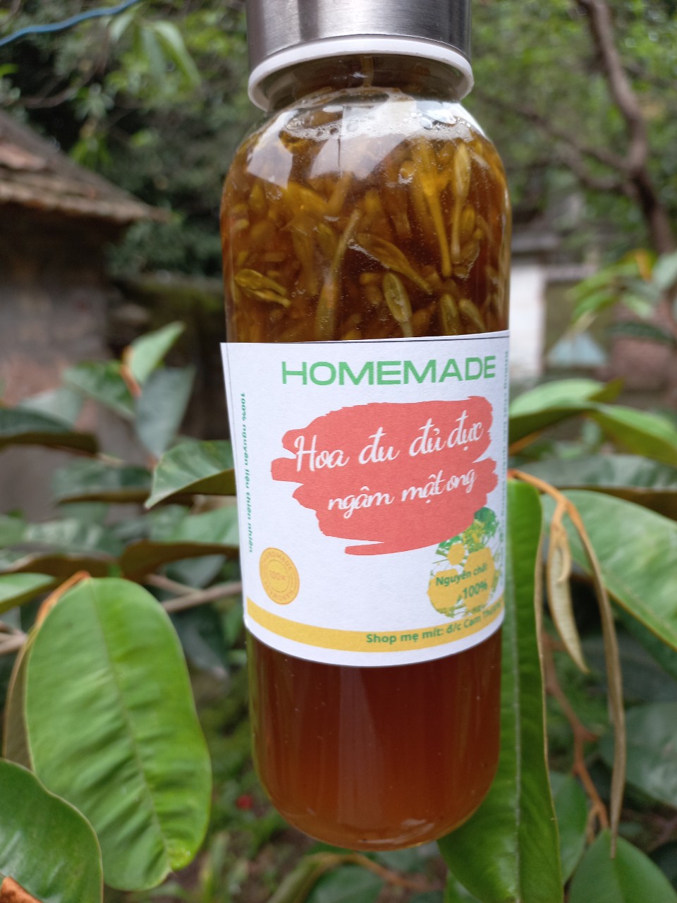 Hoa đu đủ đực ngâm mật ong