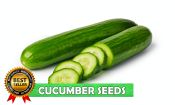 High-Yielding Cucumber Seeds - Easy to Grow - 4pcs