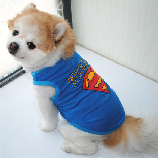 DY Yêu Mùa Hè Cún Con Siêu Nhân In Quần Áo Cho Mèo Cho Nam Thoáng Khí Quần Áo Cho Chó