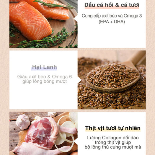 Hạt ANF Nature’s Kitchen Chăm Sóc Sức Khỏe Cho Chó Mọi Lứa Tuổi