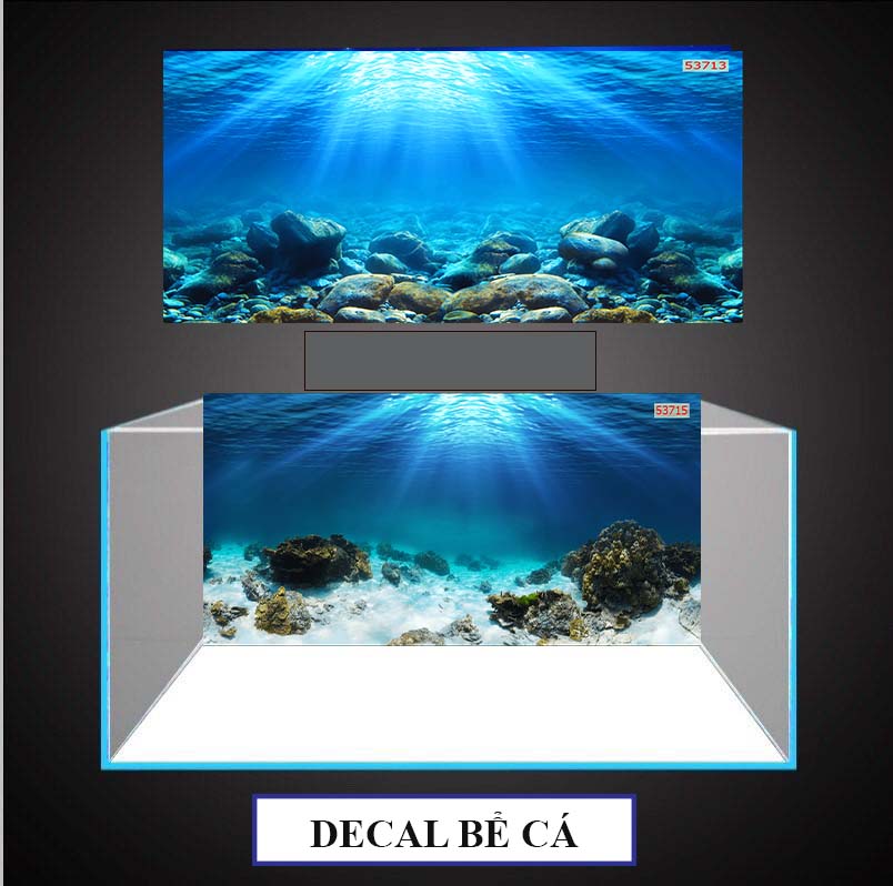 Tranh dán bể cá 3d nhiều kích thước, tích hợp sẵn keo, tặng kèm miếng gạt,05