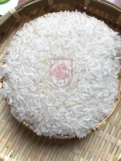 Gạo Đài thơm 8