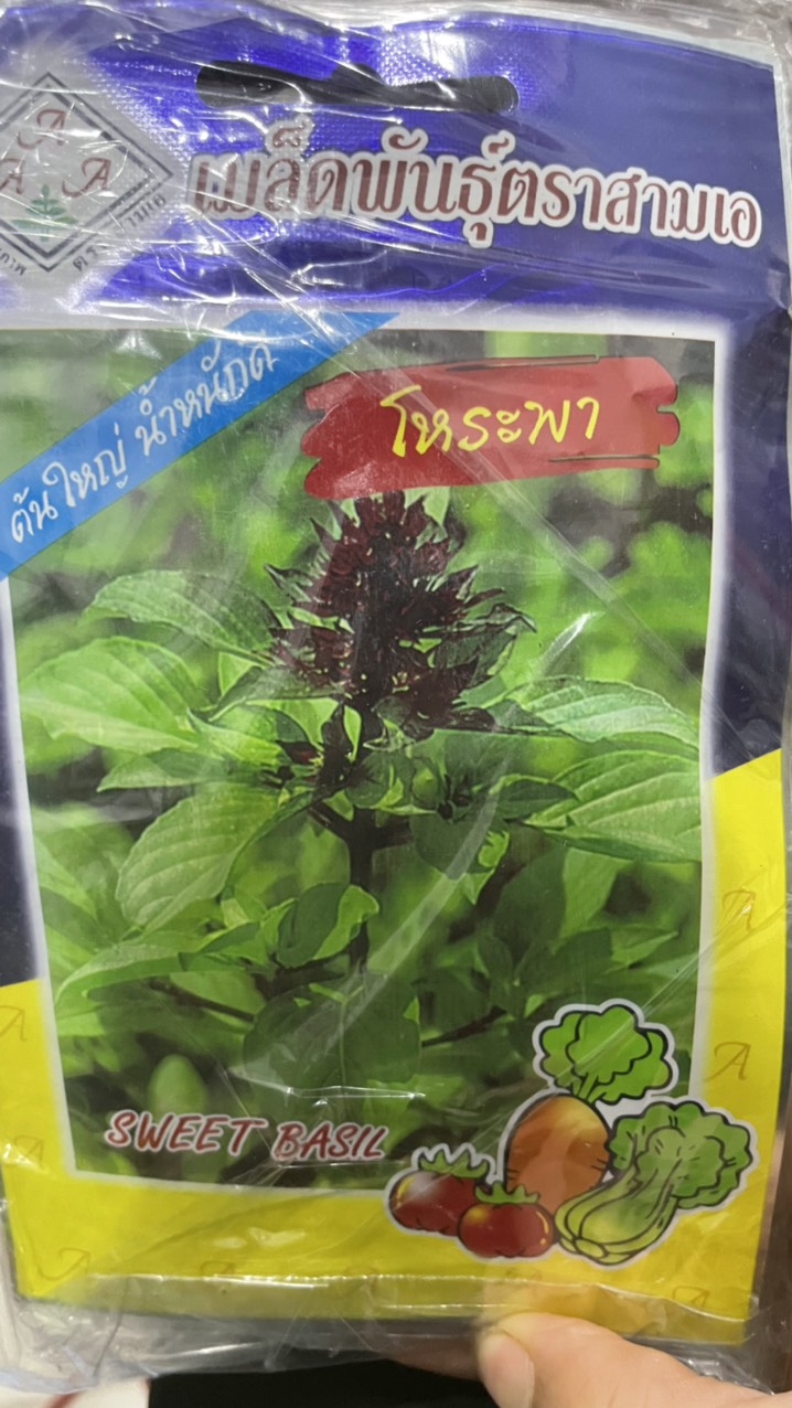 Hạt giống rau Húng quế thơm nhập Thái lan nguyên gói 2gr