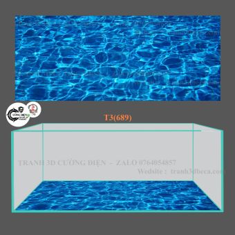Tranh 3D dán đáy bể cá cảnh