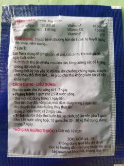 Úm gà con úm vịt con mới nở