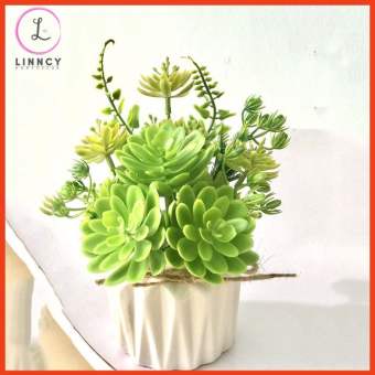 Chậu Sen Đá Giả Trang Trí Bàn Kệ Tủ Giá Sach Cao 15-20cm