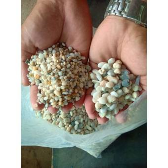 Đá Sỏi Tự Nhiên Trang Trí Hồ Cá - Đá Sỏi Tự Nhiên