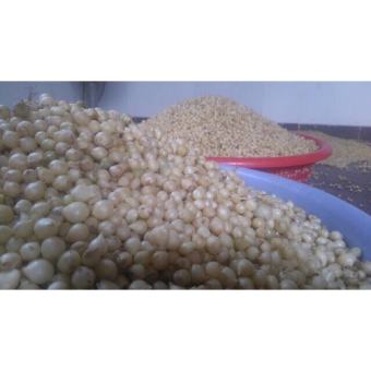 hành tăm, củ nén nghệ an 1kg