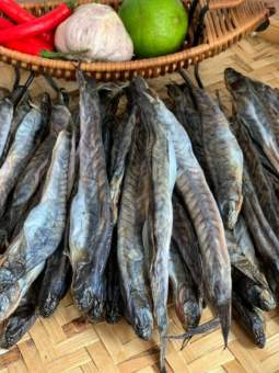 Khô Cá Kèo Loại 1 To Đặc Sản Khô Cà Mau- Thơm ngon tự nhiên