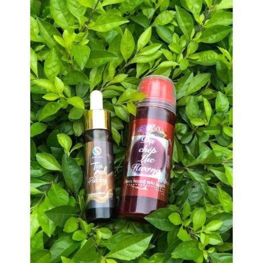 ▧✽ Combo tinh mùi Sa Phạm tùy chọn : Dụ chép lục hương / Sữa non / tinh sữa pudding / mồi câu Chép / câu Cá Đơn Đài