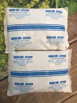 1000G Đá gel ICEPACK giữ lạnh đồ ăn, sữa,...