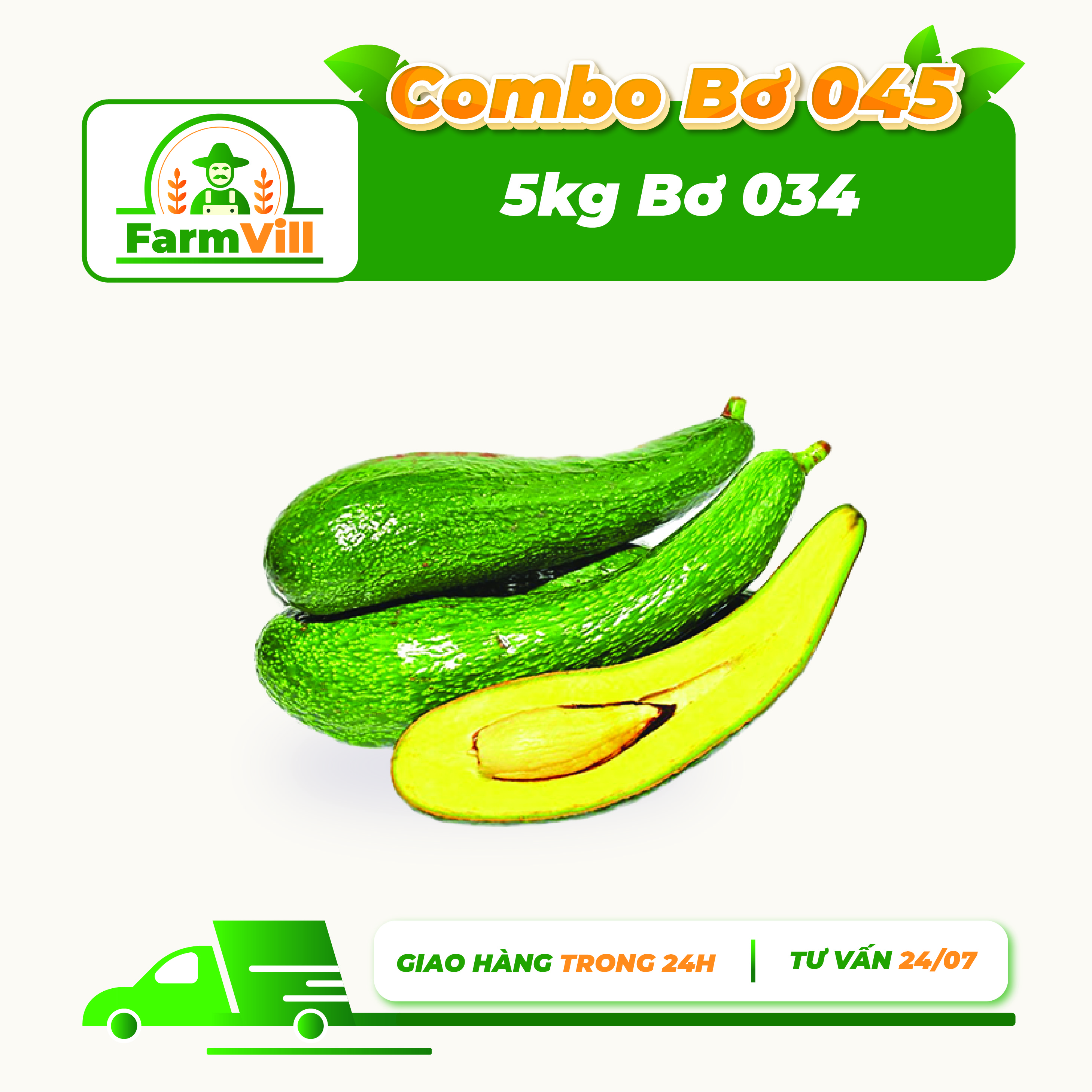 Combo 5kg bơ sáp - bơ 034 đăk lăk size 345