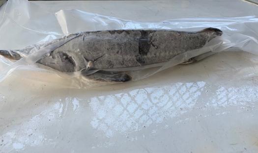 Cá Tầm Nguyên Con Sơ Chế  1.2Kg