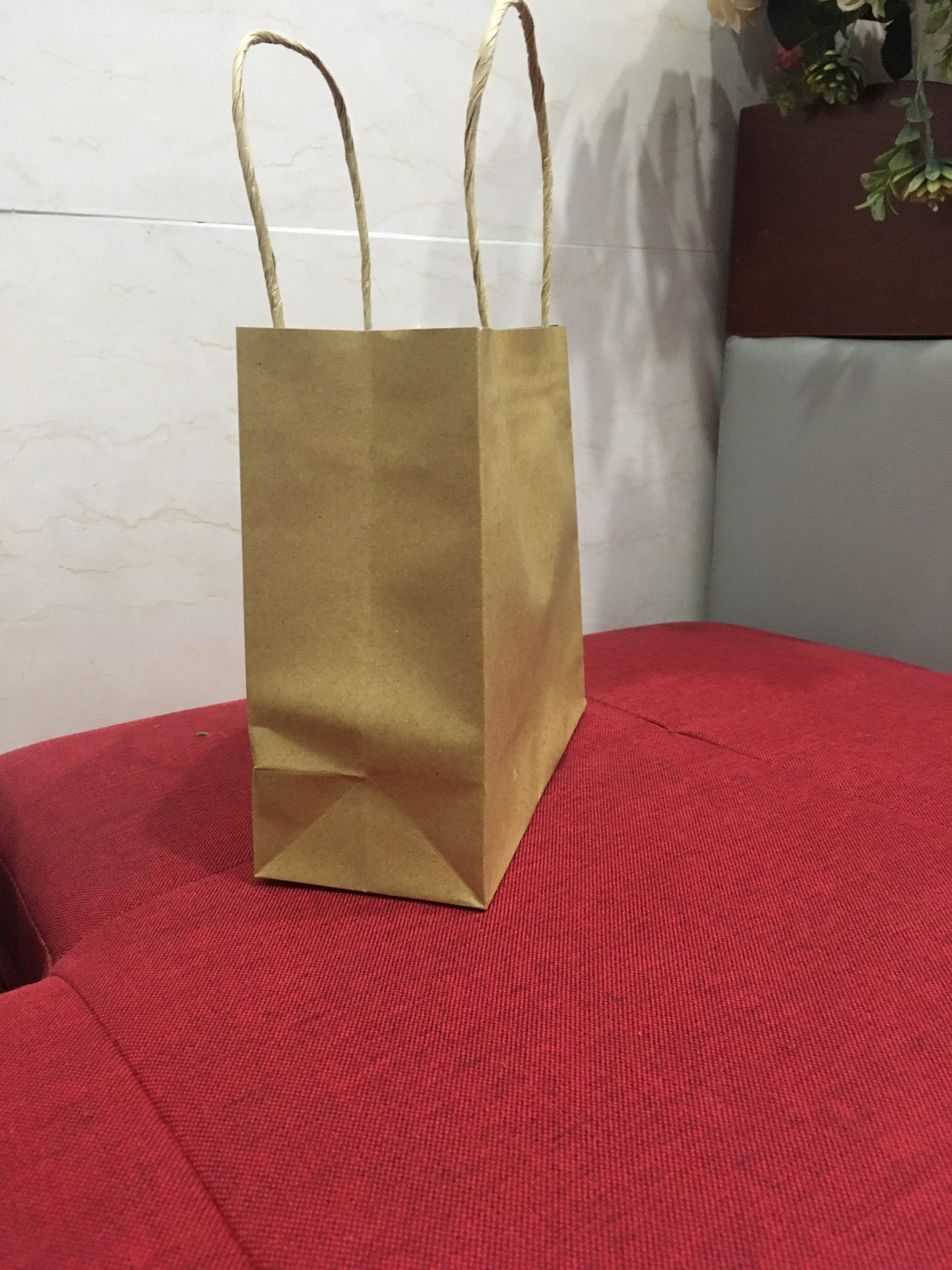 Túi giấy Kraft