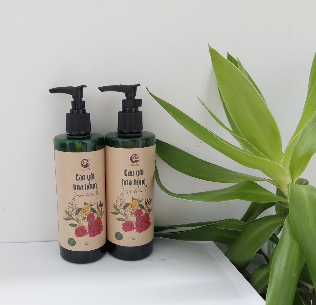 Cao gội hoa hồng dược liệu 300ml