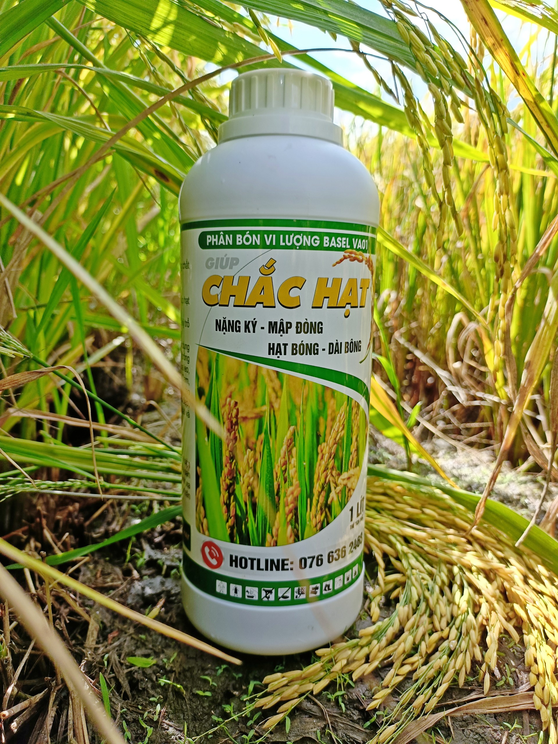 Phân bón chắc hạt lúa chai 1L