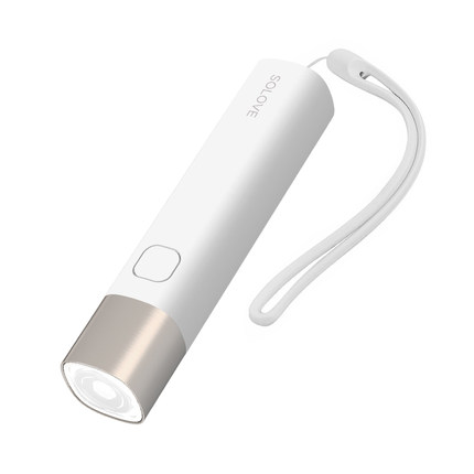 torch light with power bank