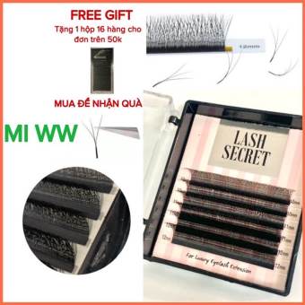 Lông mi giả, mi khay WW (6 hàng)