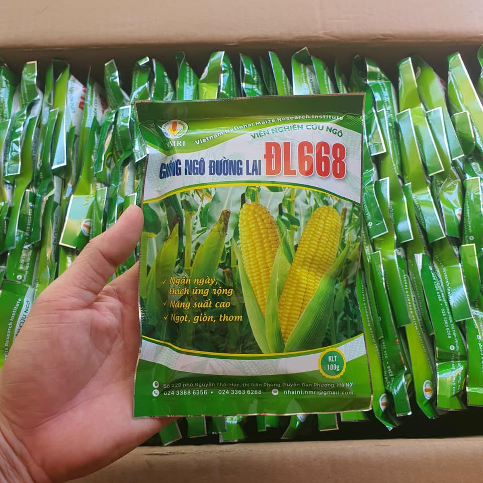 Hạt giống ngô ngọt min 5 gói 100 gram