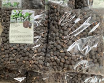 Chuối cô đơn, Hạt chuối cô đơn,(1kg), hạt chuối mồ côi, sỏi thận, lợi tiểu, đau lưng, đau xương khớp, tăng cường sinh lực