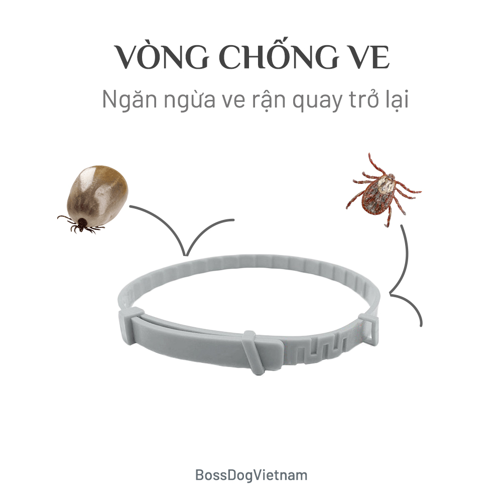 Vòng ngăn ngừa ve, rận cho cún - Phòng tránh ký sinh trùng máu | BossDog