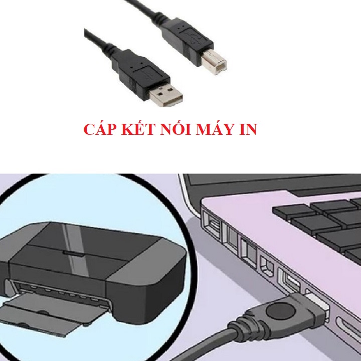 Dây cáp máy in - dây cáp kết nối máy in với máy tính chọn theo phân loại dây 1.5m.3m.5m- th817.832.872