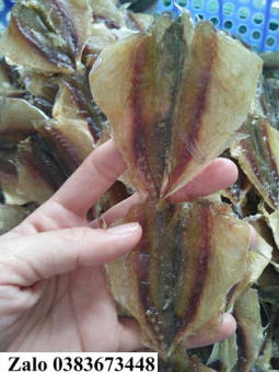 Cá Ba Chỉ Vàng, Khô cá chỉ vàng loại dày thơm thịt SR55, cá chỉ vàng đỏ - Top 10 cá khô ngon nhất - Giá bán Tại Vựa