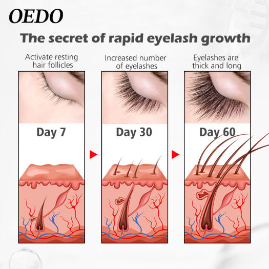 OEDO 3 cây serum làm dài và dày lông mi cung cấp dưỡng chất cho đôi mắt quyến rũ - INTL