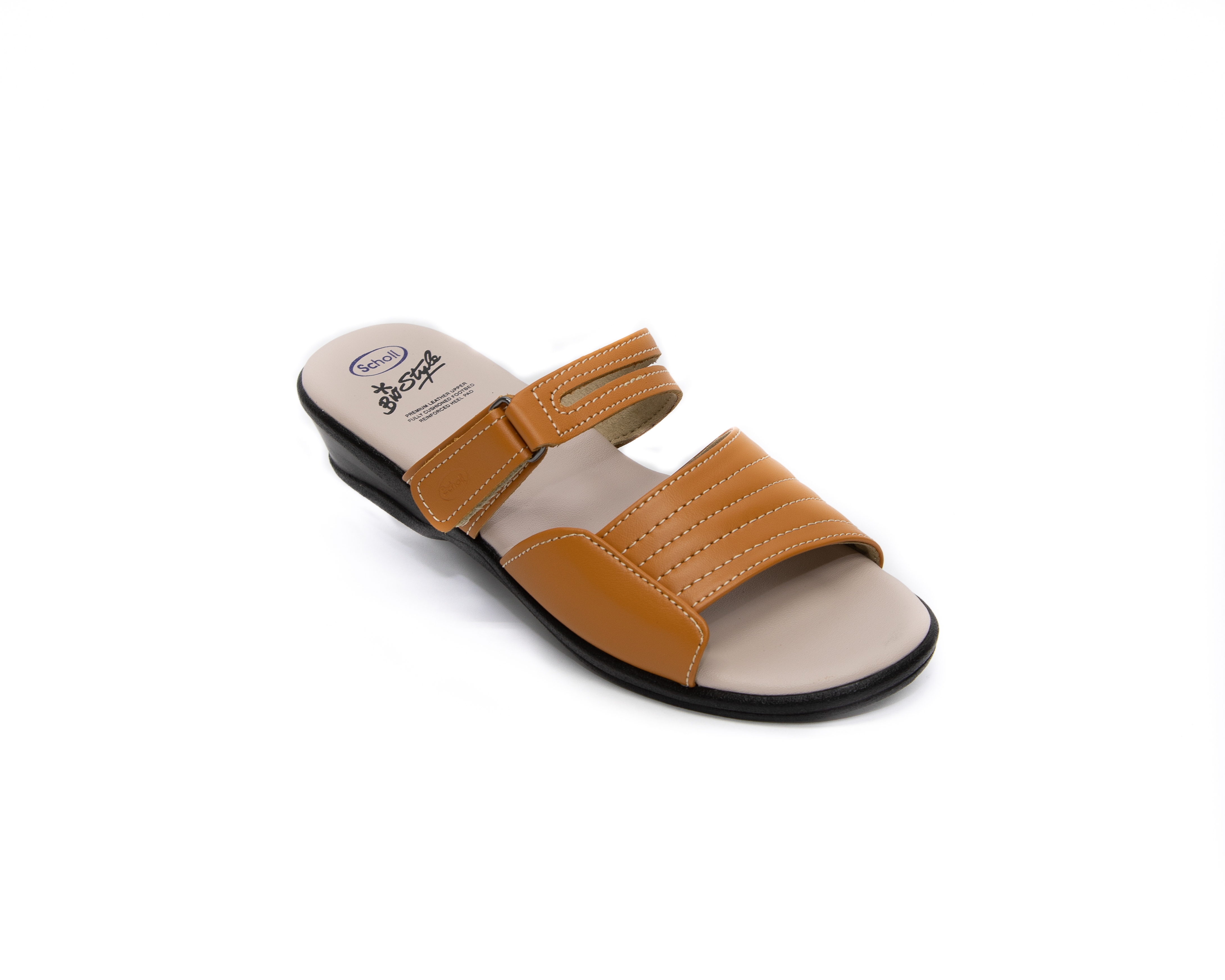 scholl slides