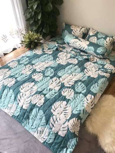 Bộ Chần Phao 5 Món - Bộ ga phủ Poli trần bông freesize 5 món