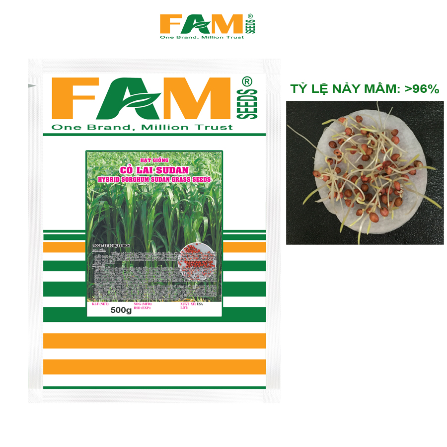Gói 500g Hạt Giống Cỏ Lai Sudan FAM SEEDS Xuất Xứ USA - Giống Cỏ Chăn Nuôi Họ Cao Lương, Dễ Trồng, Dễ Chăm, Sinh Trưởng Mạnh, Thu Hoạch Sớm, Năng Suất Chất Tươi Và Hàm Lượng Đạm Cao
