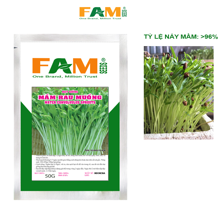Gói 50g Hạt Giống Rau Mầm Rau Muống FAM SEEDS Xuất Xứ Indonesia - Nảy Mầm Khỏe, Năng Suất Cao, Mầm Mập Xanh, Ăn Giòn, Ngọt Mát