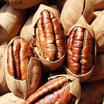 Qủa hồ đào Mỹ 1Kg