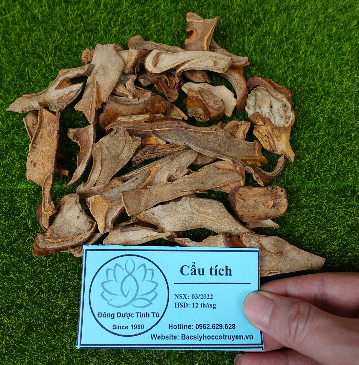 Cẩu tích 100g, dược liệu loại 1, khô, sạch