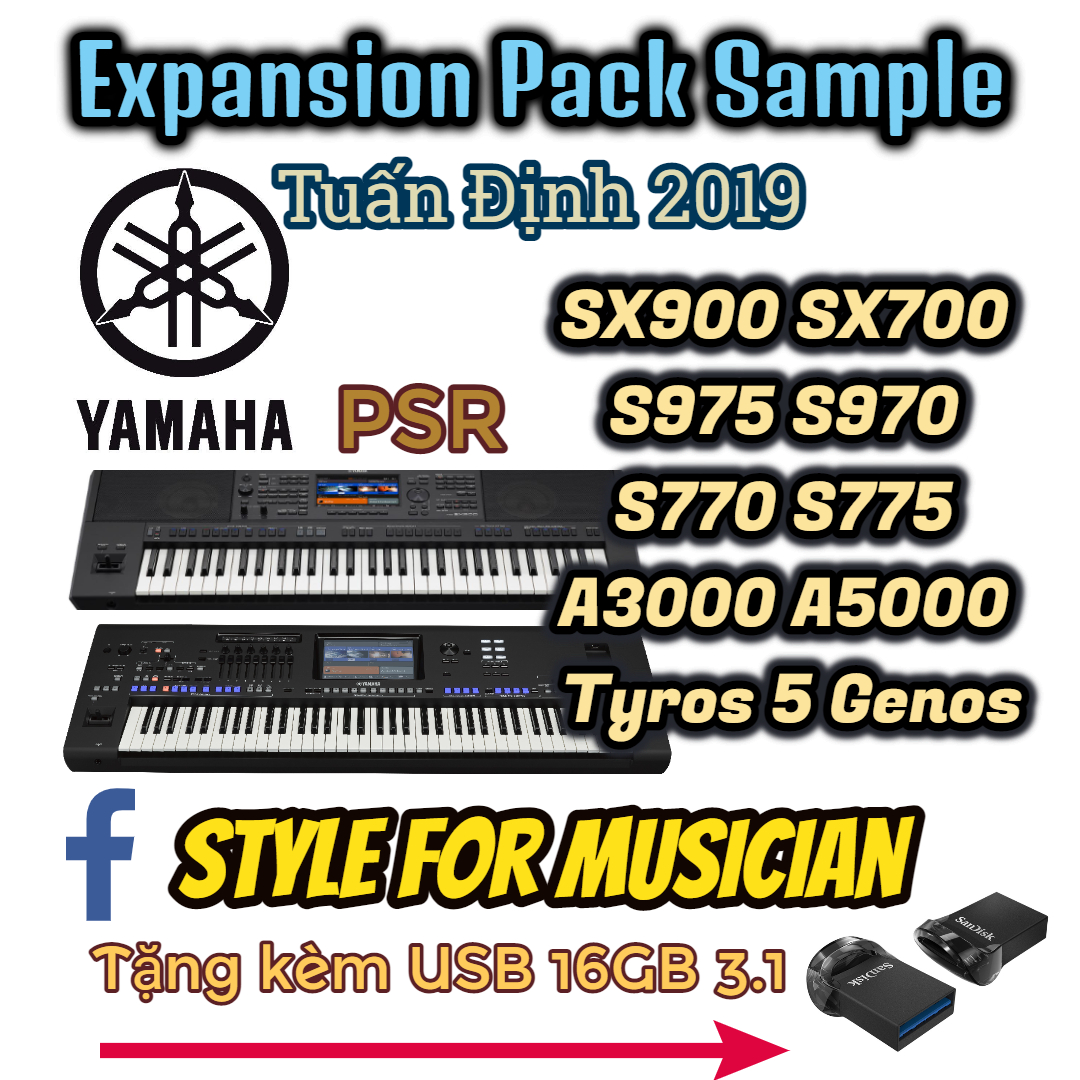 Bộ Sample Tuấn Định dành cho các dòng đàn organ Yamaha PSR-SX900 SX700 S975 S970 S770 S775 A3000 A5000 Tyros 5 Genos (file Cpi tặng kèm USB)