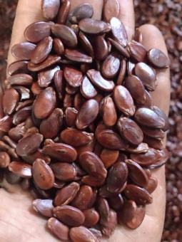 Hạt dưa rang tay #hạt dưa sấy ăn liền #hạt dưa giá sỉ túi 500 gr và 1 kg có trong phân loại - hàng date mới #cung cấp hạt dưa giá sỉ