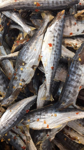 KHÔ CÁ THU LẠT ,KHÔNG ĐẦU THỊT THƠM NGON, BỔ DƯỠNG KHÔNG CHẤT BẢO QUẢN TẠI KHÔ CÁ CÀ MAU- ĐÓNG GÓI 1kg, 100GR, 500GR, 200gr