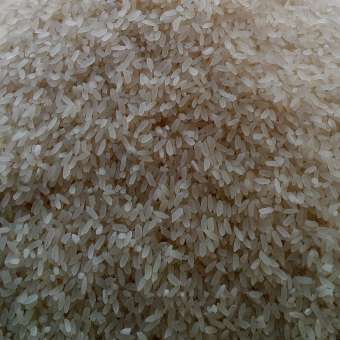 gao tám thơm 10 kg