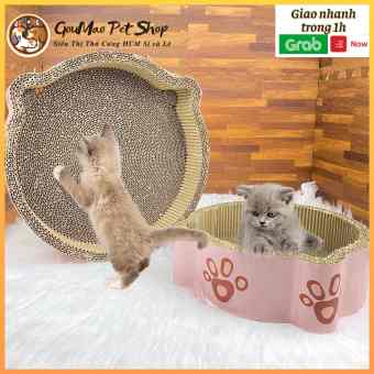 😽 Bàn cào móng cho mèo xả stress 😽