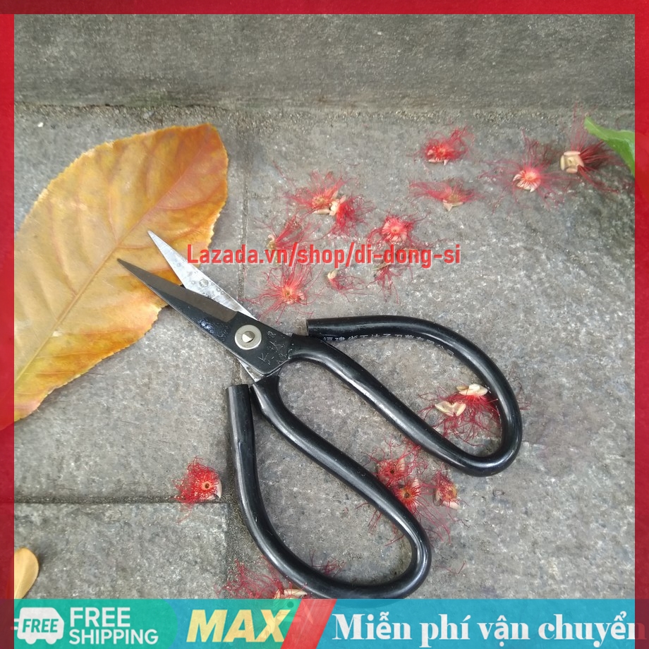 Kéo làm bếp đa năng đủ kích thước