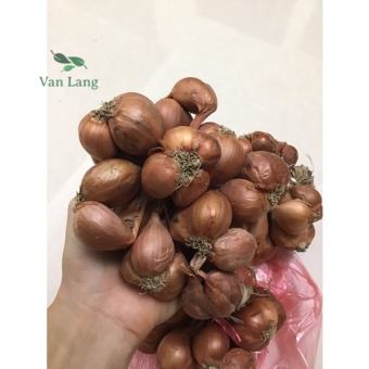 Hành khô - hành tím chất lượng 1kg