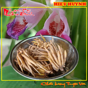 500gr Củ Ngãi Bún Nguyên Liệu Không Thể Thiếu Để Nấu Bún Cá Bún Mắm Miền Tây